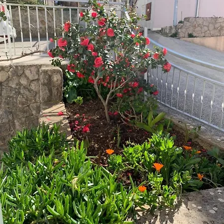 Epidaurus Cavtat